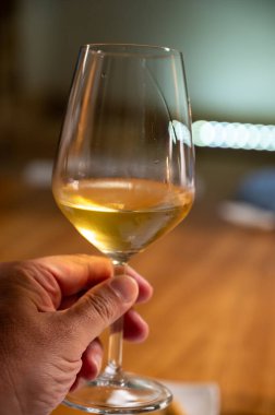 Eski büyük meşe fıçılarıyla şarap mahzeni ziyareti, güçlendirilmiş kuru veya tatlı marsala şarabı ile tatma bardakları Marsala, Sicilya, İtalya 'da şarap endüstrisi