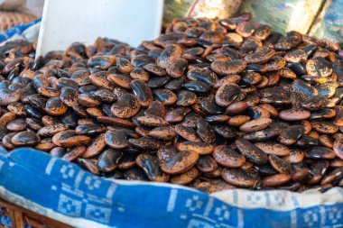 Fagioli Diavoli di Norcia koyu kahverengi fasulye, mor benekli. Tatlı, zeytin tadı, çiğnenmiş derileri, kremsi dokuları, pazarda İtalyan yemekleri var.