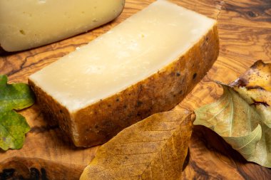 Koyun sütünden yapılmış sert İtalyan peyniri pecorino parçaları, İtalya 'da peynir tatma.