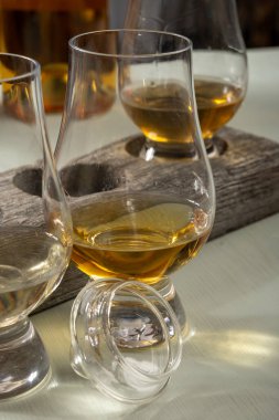 İskoç viskisi ve karışık viski tatma turu İskoçya 'daki içki imalathanesinde.