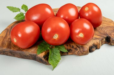 Deniz koyundaki gece manzarası, Collioure 'un eski kasabasının ışıkları ve renkli evleri, Cote Vermeille, Pyrenees-Orientales, Occitania, Fransa. Yaz hedefi