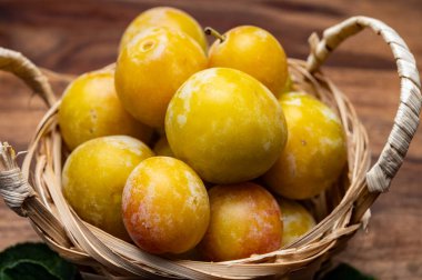 Deniz koyundaki gece manzarası, Collioure 'un eski kasabasının ışıkları ve renkli evleri, Cote Vermeille, Pyrenees-Orientales, Occitania, Fransa. Yaz hedefi