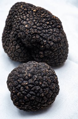 Deniz koyundaki gece manzarası, Collioure 'un eski kasabasının ışıkları ve renkli evleri, Cote Vermeille, Pyrenees-Orientales, Occitania, Fransa. Yaz hedefi