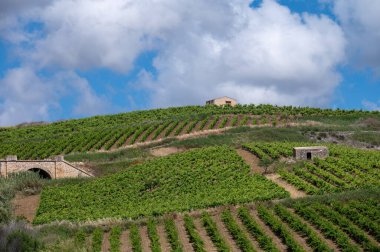 Deniz koyundaki gece manzarası, Collioure 'un eski kasabasının ışıkları ve renkli evleri, Cote Vermeille, Pyrenees-Orientales, Occitania, Fransa. Yaz hedefi