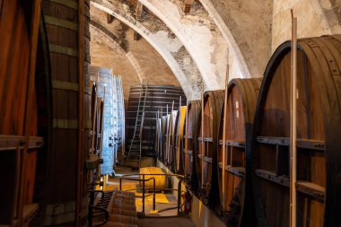 Deniz koyundaki gece manzarası, Collioure 'un eski kasabasının ışıkları ve renkli evleri, Cote Vermeille, Pyrenees-Orientales, Occitania, Fransa. Yaz hedefi