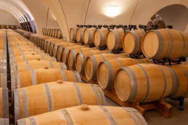 Cahors şarap üretim bölgesinde şarap fıçıları, kırmızı malbec şarapları, Fransa 'nın şatosunda şarap tatma, enotürizm