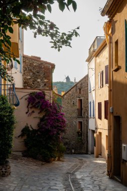 Renkli Collioure manzarası, dar sokaklar ve sarı, pembe, turuncu evler, yazlık tatil beldeleri tarihi buding ve plajlar, Pirenes-Orientales, Fransa yazın