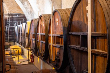 Collioure 'daki eski meşe fıçılarını ziyaret edin. Doğal tatlı kırmızı cru şarabı için eski meşe fıçıları. Banyuls, Katalan Pirenesi, Roussillon, Fransa' nın yamaçlarındaki eski sarmaşıklardan güçlendirilmiş tatlı şarabı.