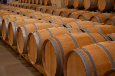 Cahors şarap üretim bölgesinde şarap fıçıları, kırmızı malbec şarapları, Fransa 'nın şatosunda şarap tatma, enotürizm