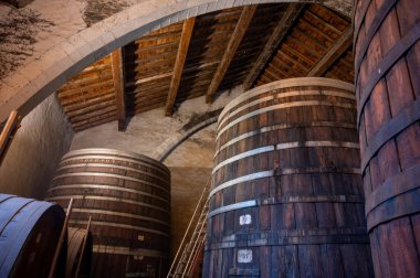 Collioure 'daki eski meşe fıçılarını ziyaret edin. Doğal tatlı kırmızı cru şarabı için eski meşe fıçıları. Banyuls, Katalan Pirenesi, Roussillon, Fransa' nın yamaçlarındaki eski sarmaşıklardan güçlendirilmiş tatlı şarabı.