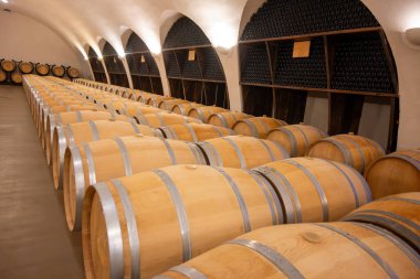 Cahors şarap üretim bölgesinde şarap fıçıları, kırmızı malbec şarapları, Fransa 'nın şatosunda şarap tatma, enotürizm