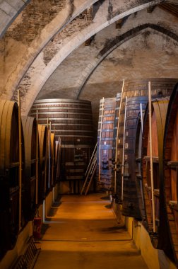 Collioure 'daki eski meşe fıçılarını ziyaret edin. Doğal tatlı kırmızı cru şarabı için eski meşe fıçıları. Banyuls, Katalan Pirenesi, Roussillon, Fransa' nın yamaçlarındaki eski sarmaşıklardan güçlendirilmiş tatlı şarabı.