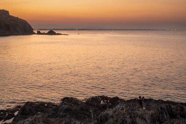 Deniz kıyısındaki gece manzarası, Collioure eski kasabası yakınlarındaki ışıklar, Cote Vermeille, Pyrenees-Orientales, Occitania, Fransa. Yaz tatili