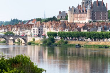 Loire nehri kıyısındaki Gien kasabasının eski bir kısmının manzarası, Loiret departmanı, Fransa, çatı ve baca döşeli evler, kale ve köprü, Loire nehrinin yansıması.