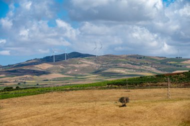 Sicilya 'daki Palermo-Trapani otoyolunun yeşil tepelerinde üzüm bağları ve zeytinlikleri var.