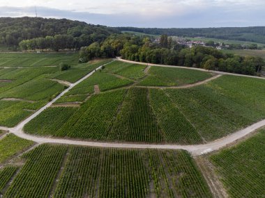 Günbatımında Epernay, Champange, Fransa yakınlarındaki Hautvillers köyü yakınlarındaki şampanya bağlarının hava panoramik manzarası.