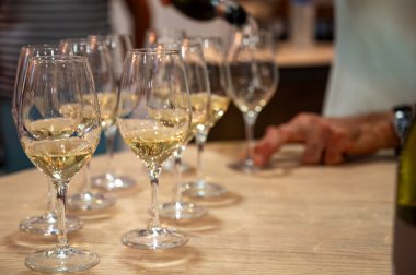 Collioure AOC tatma, Banyuls AOC beyaz, gül ve kırmızı şarap, doğal tatlı cru Banyuls güçlendirilmiş tatlı şarap Roussillon, Fransa 'daki Katalan Pireneleri' nin yamaçlarındaki eski sarmaşıklardan