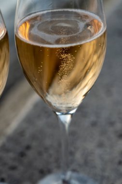 Fransız şarabı doldurup içiyorum. Lale kadehinden şampanya içiyorum. Seine nehrinin tepesinde, Paris, Fransa 'da düğün etkinliği.