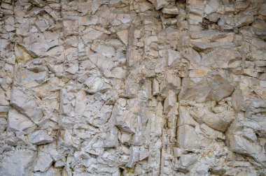 Marne Valley, Champange, Fransa 'daki Hautvillers köyündeki şampanya bağlarında tebeşir, marl ve kireç taşından oluşan tortulu beyaz kaya toprağı, doğa toprak seviyesi arka plan