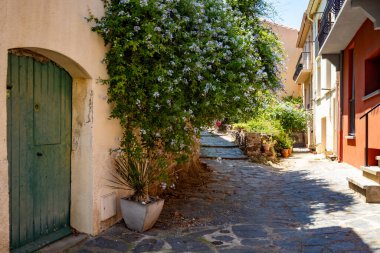 Renkli Collioure manzarası, dar sokaklar ve sarı, pembe, turuncu evler, yazlık tatil beldeleri tarihi buding ve plajlar, Pirenes-Orientales, Fransa yazın