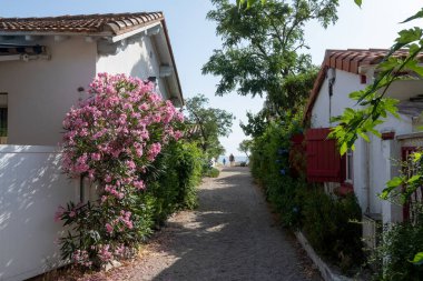 Le Racou hamleti Argeles-sur-Mer 'deki küçük yazlık evler, ya da Katalan' daki kuytu köşeler, Akdeniz kıyısındaki tipik yerler, kumlu yollar, Fransa 'nın Collioure kenti yakınlarındaki turistler.