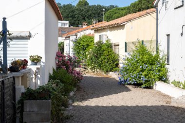 Le Racou hamleti Argeles-sur-Mer 'deki küçük yazlık evler, ya da Katalan' daki kuytu köşeler, Akdeniz kıyısındaki tipik yerler, kumlu yollar, Fransa 'nın Collioure kenti yakınlarındaki turistler.