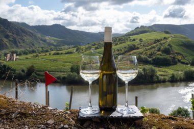 Alman kaliteli beyaz şarap riesling, Mosel şarap bölgesi, Avrupa 'nın en dik Calmont Klettersteig üzüm bağında büyüyen beyaz üzümler, Bremm ve Ediger-Eller, Almanya yakınlarındaki bardaklar ve şişe,