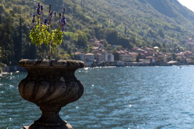 Mavi suları, dağları, güzel köyleri, parkları ve villaları olan Como Gölü manzarası. İtalya 'nın kuzeyinde, Lombardiya' da bir tatil beldesi.