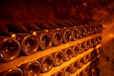 Yeraltı mağaralarının tozlu şişelerini ziyaret etmek, geleneksel yöntemlerle Reims, Epernay, Champagne, France 'da şampanya yapmak.