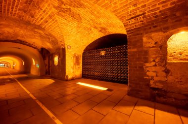 Yeraltı mağaralarının tozlu şişelerini ziyaret etmek, geleneksel yöntemlerle Reims, Epernay, Champagne, France 'da şampanya yapmak.