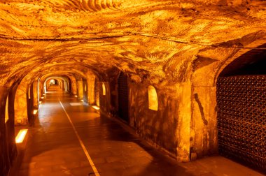 Yeraltı mağaralarının tozlu şişelerini ziyaret etmek, geleneksel yöntemlerle Reims, Epernay, Champagne, France 'da şampanya yapmak.