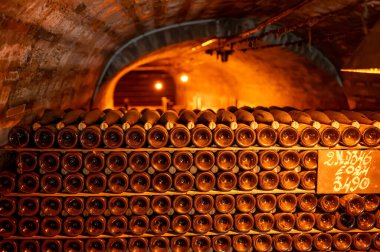 Yeraltı mağaralarının tozlu şişelerini ziyaret etmek, geleneksel yöntemlerle Reims, Epernay, Champagne, France 'da şampanya yapmak.