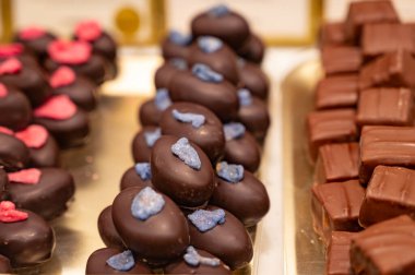 El yapımı çikolatalı pralin bonbonlar, palmiye yağı olmadan nasıl kalite, zarif, ısırık büyüklüğünde, parlak kaplamalı, zengin kakaolu, farklı dolgulu, fındıklı, kuru üzümlü,