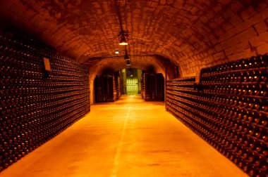 Yeraltı mağaralarının tozlu şişelerini ziyaret etmek, geleneksel yöntemlerle Reims, Epernay, Champagne, France 'da şampanya yapmak.