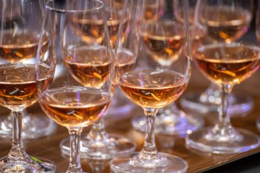 Ziyaretçiler için özel tatma etkinliği, bir bardak şampanyayla yemek eşleşmesi, Fransa 'da kış yemekleri ve şarap festivalinde ünlü aşçıların hazırladığı lezzetli yemekler.