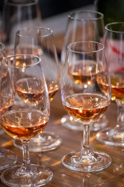 Ziyaretçiler için özel tatma etkinliği, bir bardak şampanyayla yemek eşleşmesi, Fransa 'da kış yemekleri ve şarap festivalinde ünlü aşçıların hazırladığı lezzetli yemekler.