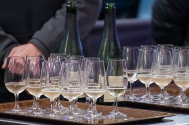 Ziyaretçiler için özel tatma etkinliği, bir bardak şampanyayla yemek eşleşmesi, Fransa 'da kış yemekleri ve şarap festivalinde ünlü aşçıların hazırladığı lezzetli yemekler.