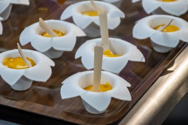 Ziyaretçiler için özel tatma etkinliği, bir bardak şampanyayla yemek eşleşmesi, Fransa 'da kış yemekleri ve şarap festivalinde ünlü aşçıların hazırladığı lezzetli yemekler.