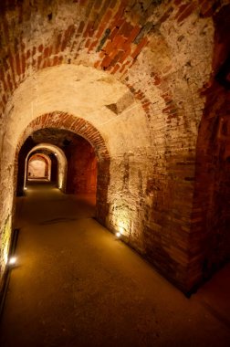 Yeraltı mağaralarının tozlu şişelerini ziyaret etmek, geleneksel yöntemlerle Reims, Epernay, Champagne, France 'da şampanya yapmak.