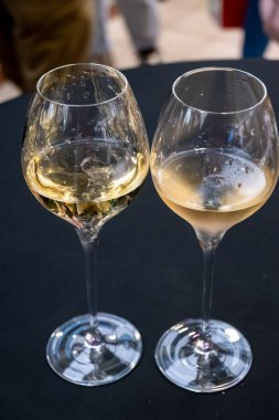 Ziyaretçiler için özel tatma etkinliği, bir bardak şampanyayla yemek eşleşmesi, Fransa 'da kış yemekleri ve şarap festivalinde ünlü aşçıların hazırladığı lezzetli yemekler.