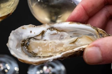 Fransız haftalık pazarında kabuklu taze istiridyeler, sokak yemekleri, markette, deniz ürünlerinde, Fransa 'da yenecek limonlu canlı istiridyeler.