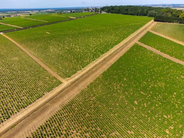 Pouilly-Fume adreslerinin hava manzarası, Sauvignon Blanc üzümlerinden yapılan kuru beyaz şarap farklı toprak türlerinde yetişen üzümler, Franc