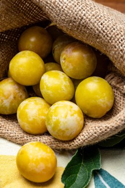 Fransa 'dan tatlı, küçük, sarı mirabelle erikleri, sağlıklı organik meyveler.