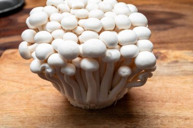 Taze beyaz shimeji yenilebilir mantarları Doğu Asya 'ya özgüdür, ona-shimeji yaygın olarak yetiştirilir ve umami tatma bileşikleri bakımından zengindir.