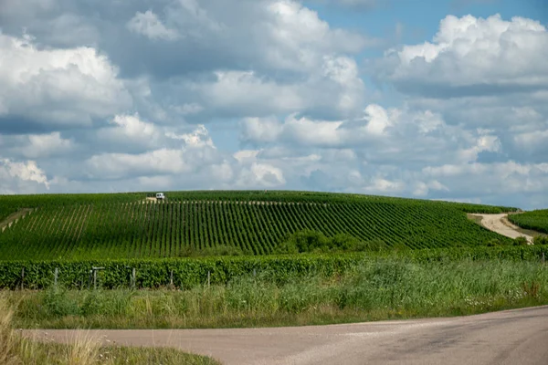 Essoyes ve Celles-sur-Ource, Champagne-Ardennes, Fransa, Avrupa yakınlarındaki Aube şubesinin Cote des Bar bölgesinde şampanya bağları