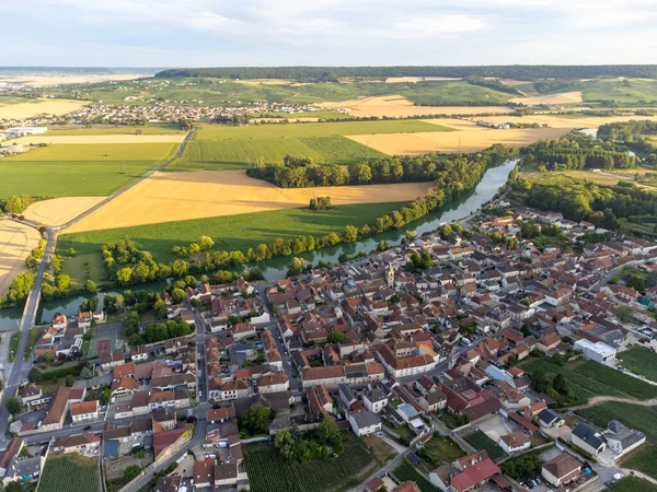 Epernay, Champange, Fransa yakınlarındaki Hautvillers köyündeki ilkel cru şampanya bağlarının panoramik manzarası gün batımında