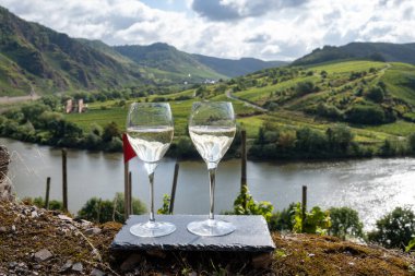 Alman kaliteli beyaz şarap riesling, Mosel şarap bölgesi, Avrupa 'nın en dik Calmont Klettersteig bağında büyüyen beyaz üzümler, Bremm ve Ediger-Eller, Almanya yakınlarındaki iki bardak