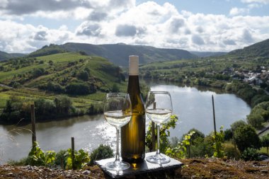 Alman kaliteli beyaz şarap riesling, Mosel şarap bölgesi, Avrupa 'nın en dik Calmont Klettersteig üzüm bağında büyüyen beyaz üzümler, Bremm ve Ediger-Eller, Almanya yakınlarındaki bardaklar ve şişe,