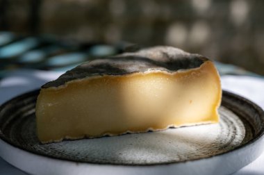 Peynir koleksiyonu, Fransız St Nectaire peyniri. Fransız köyünde servis edilen kahverengi küflü.