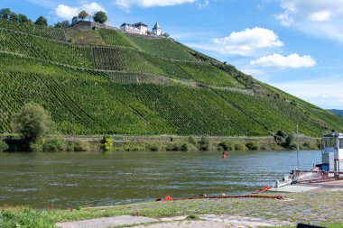 Almanya 'nın Punderich ortaçağ köyü yakınlarındaki yeşil teraslı üzüm bağları ve Moselle nehri manzarası